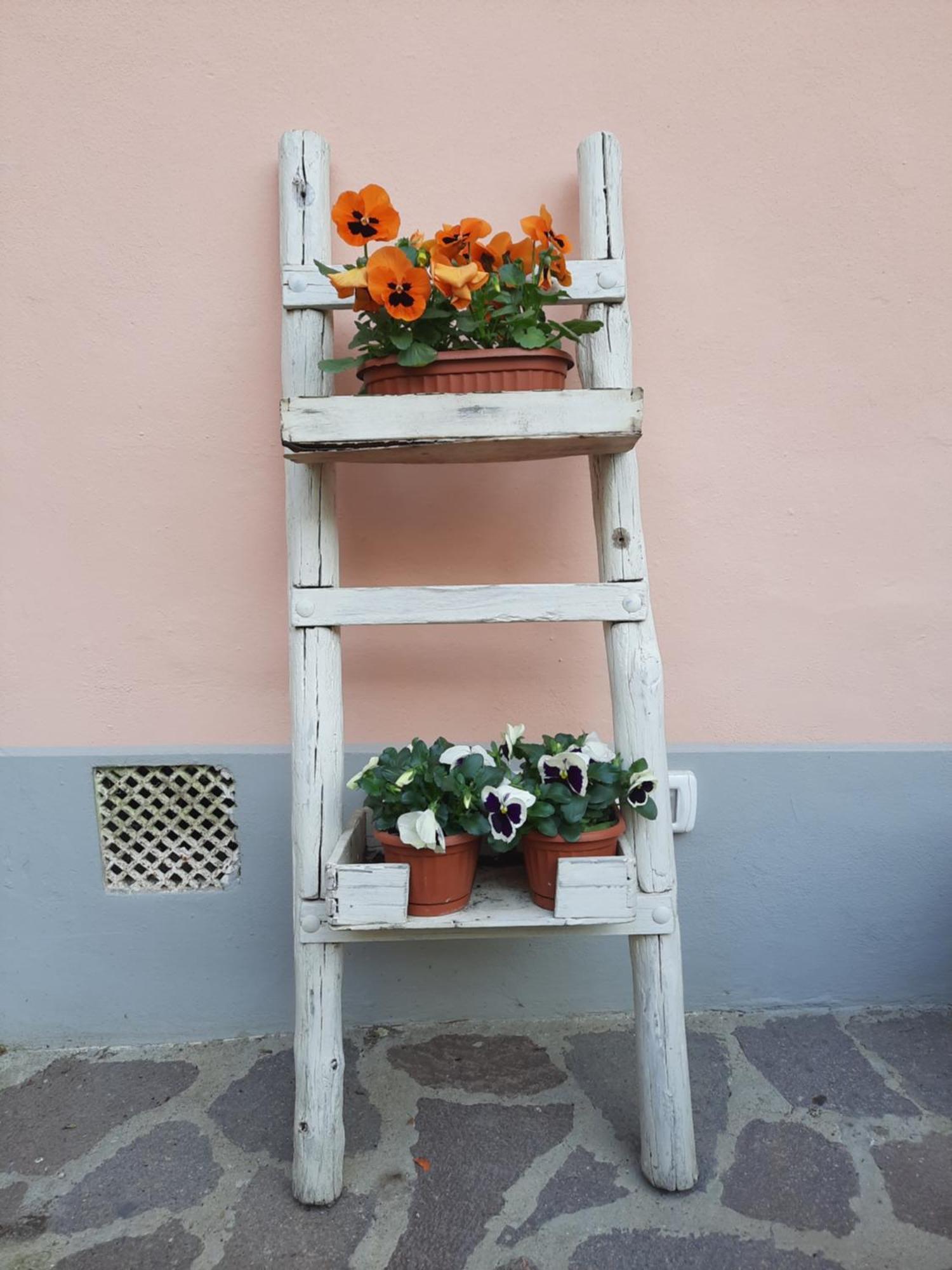 Appartement Messer Niccolo - In